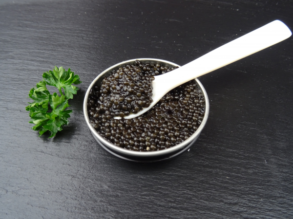 ATLANTIK FISCH Sibirischer Stör Kaviar 30 g